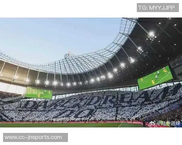 热刺大股东刘易斯家族信托注资1亿镑助力俱乐部发展